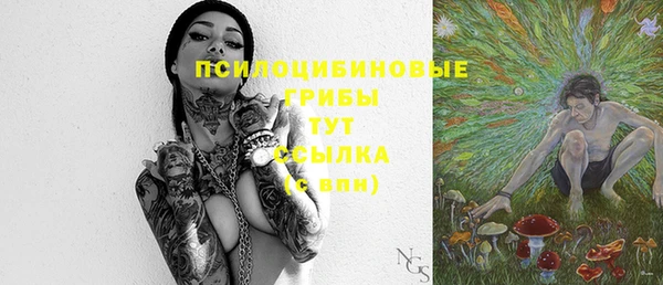 гидра Аркадак