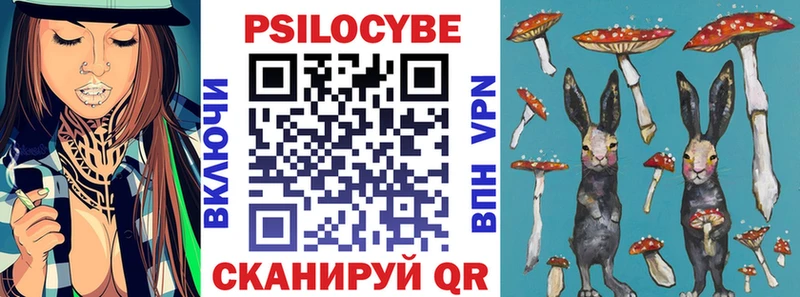 Галлюциногенные грибы Psilocybe Фурманов